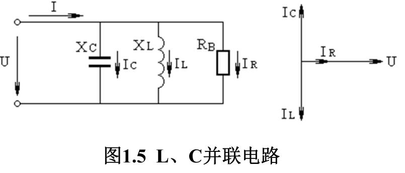 L、 C并联电路